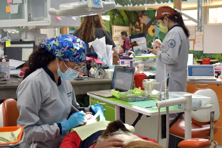 Proporciona BUAP tratamiento dental especializado a menores de edad