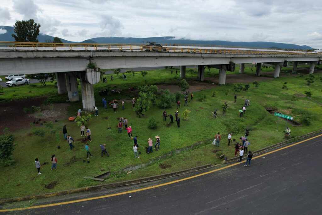 Reforestación en Atlixco