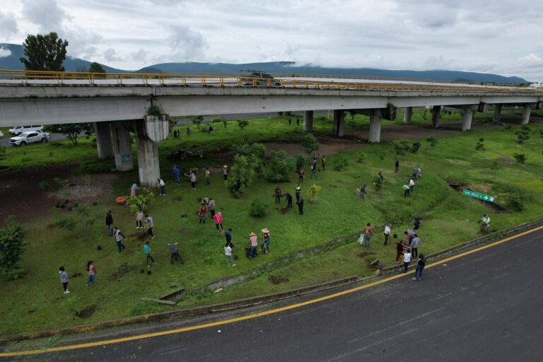 Reforestación en Atlixco