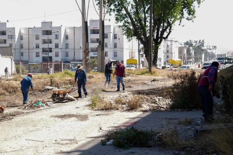 Refuerza Gobierno de Pepe Chedraui mantenimiento en bajo puentes de la capital