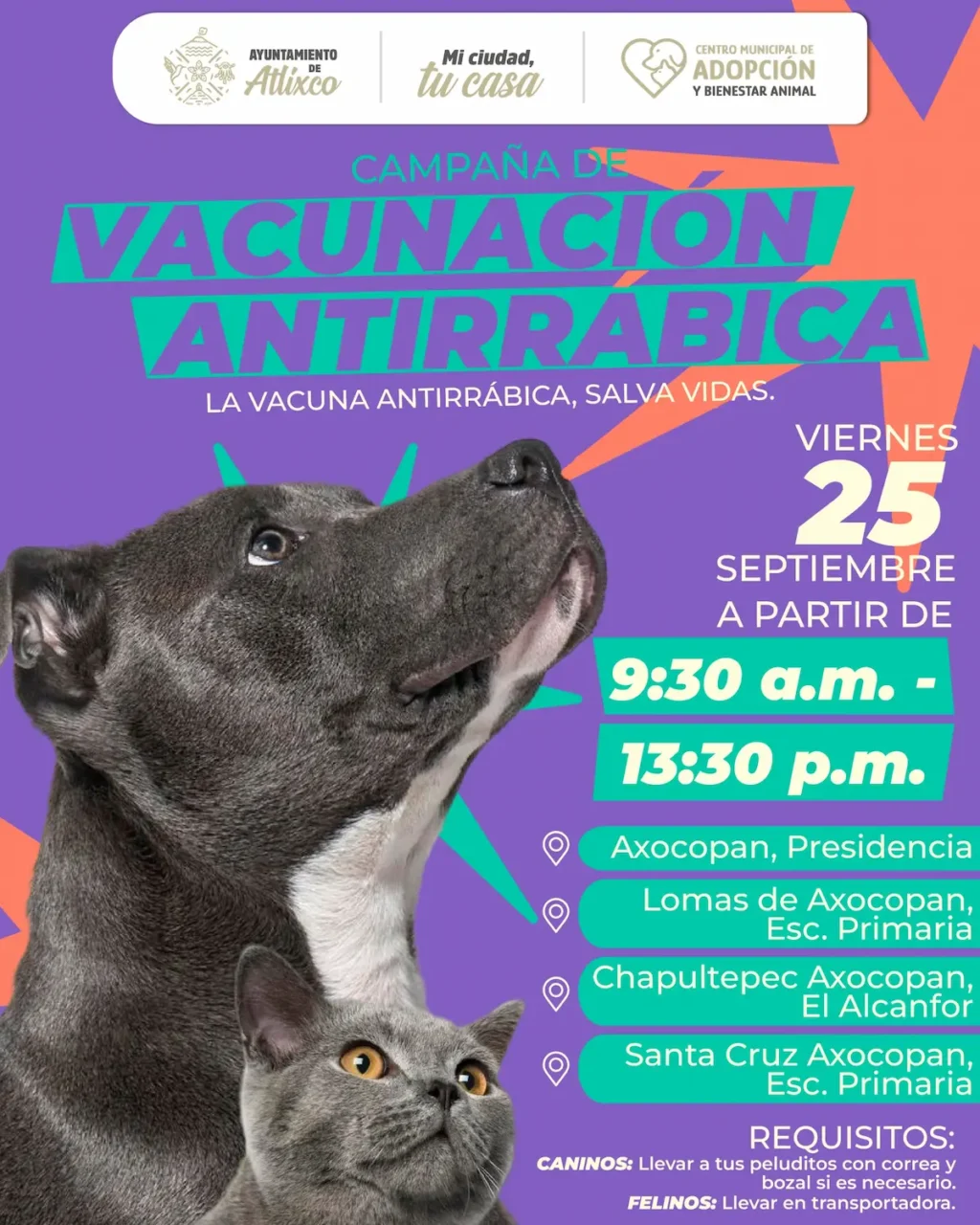 Vacunarlos es amarlos; Ariadna ayala impulsa bienestar animal con jornada de vacunación