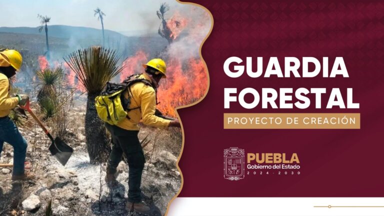 Prevención y combate de incendios, tareas de la Guardia Forestal del Estado