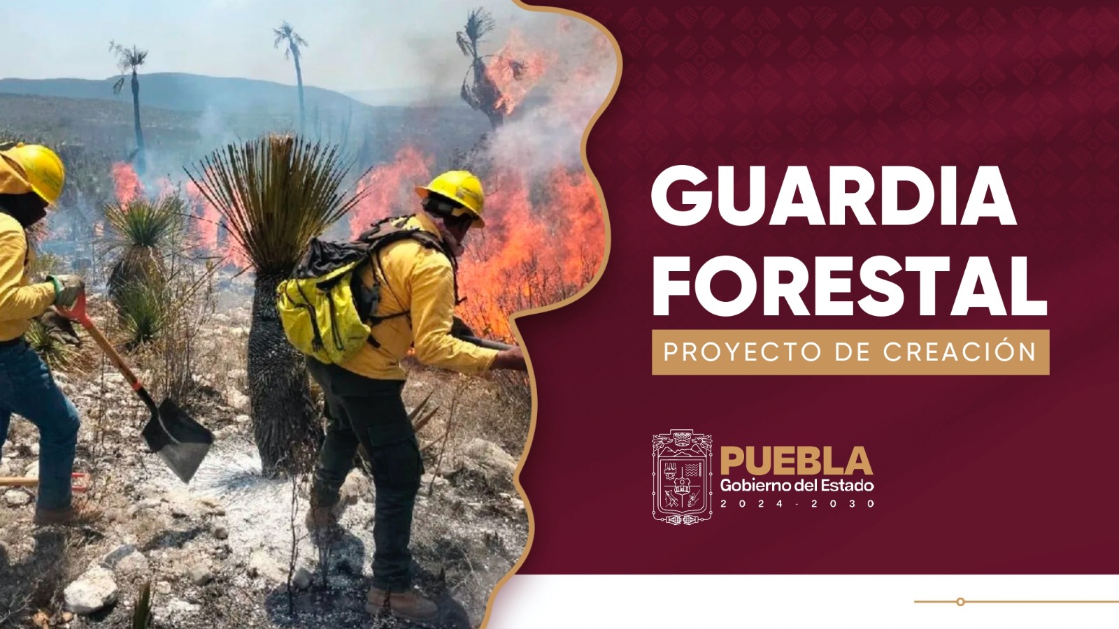 Prevención y combate de incendios, tareas de la Guardia Forestal del Estado
