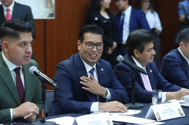 DESDE EL SENADO DE LA REPÚBLICA IMPULSAREMOS LA COMPETITIVIDAD DE MÉXICO: NÉSTOR CAMARILLO