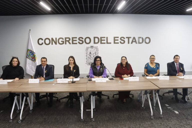 Avala Comisión del Congreso exhorto para que trámites digitales sean ágiles y sencillos 