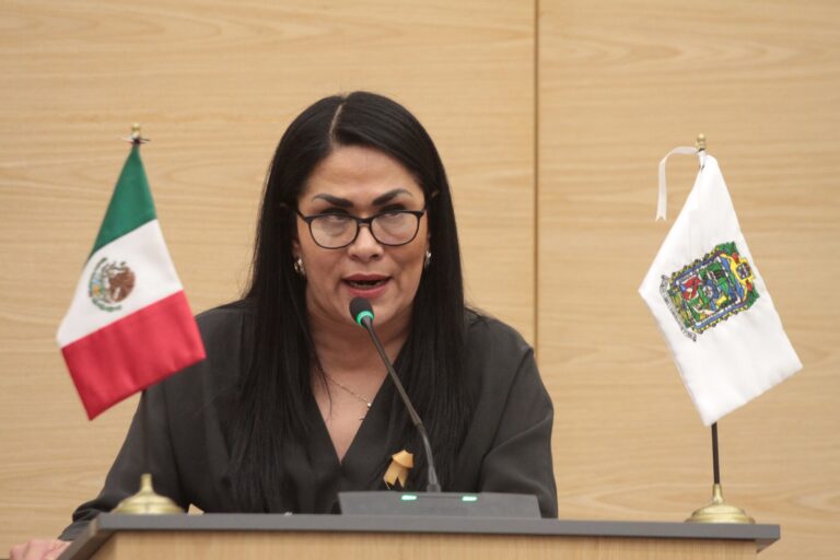 Diputada Fedrha Suriano propondrá eliminar carta de antecedentes penales para mujeres exreclusas