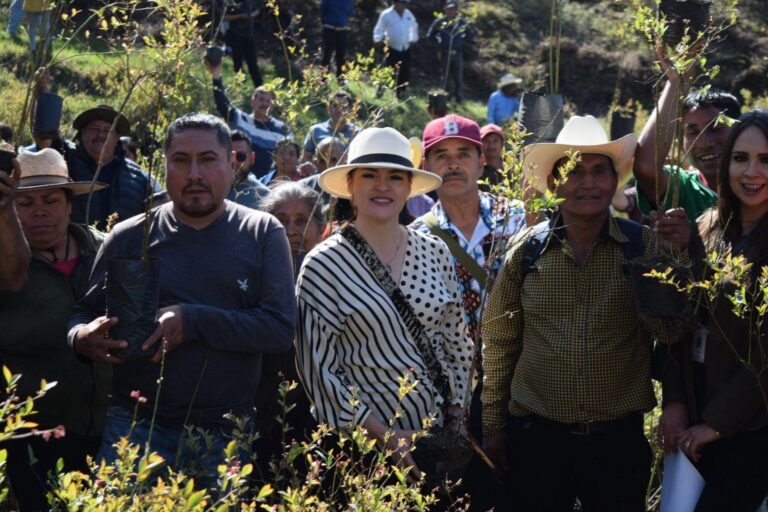 Ayuntamiento de Zacatlán impulsa proyecto o desarrollo sustentable del municipio y cuidado del medio ambiente