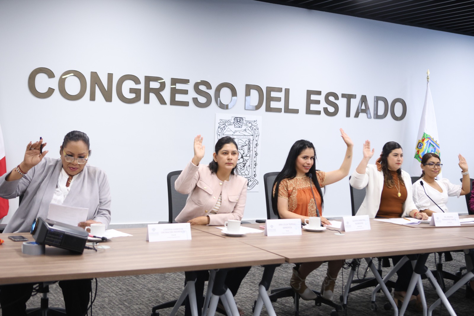 Aprueba Comisión del Congreso reformas en materia de violencia obstétrica 