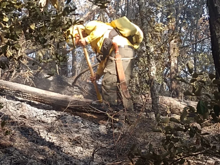 incendios forestales