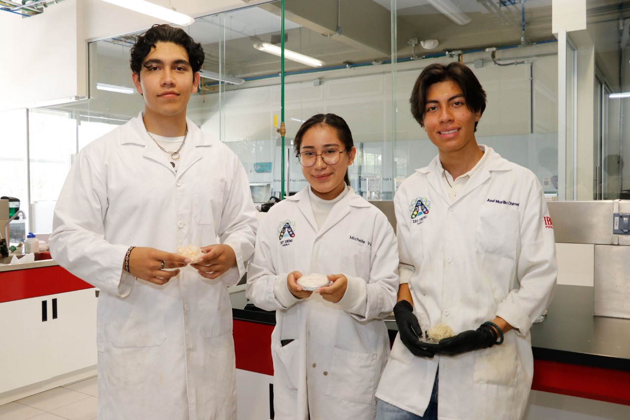 hidrogel sustentable para cicatrización