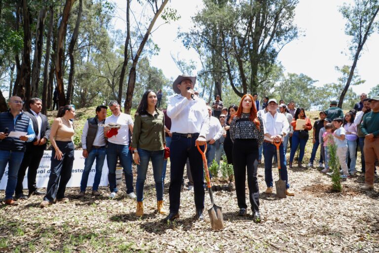 reforestación en Puebla 2025