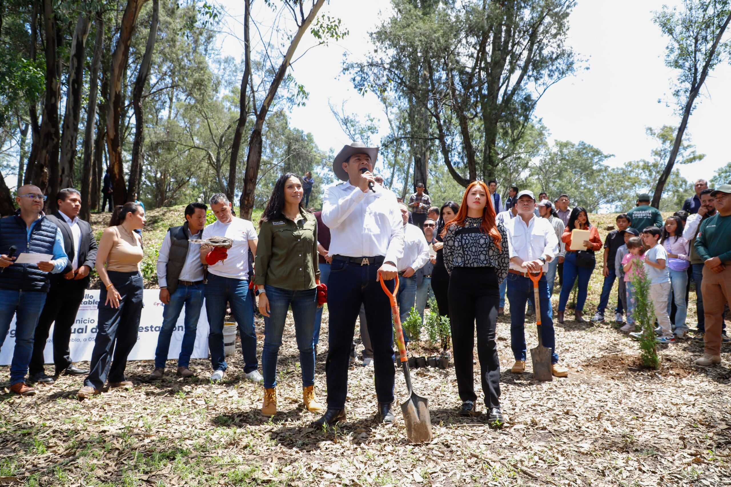 reforestación en Puebla 2025