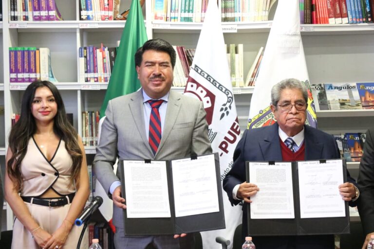 profesionalización del servicio público