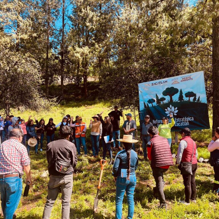 Reforestación Zacatlán 2025
