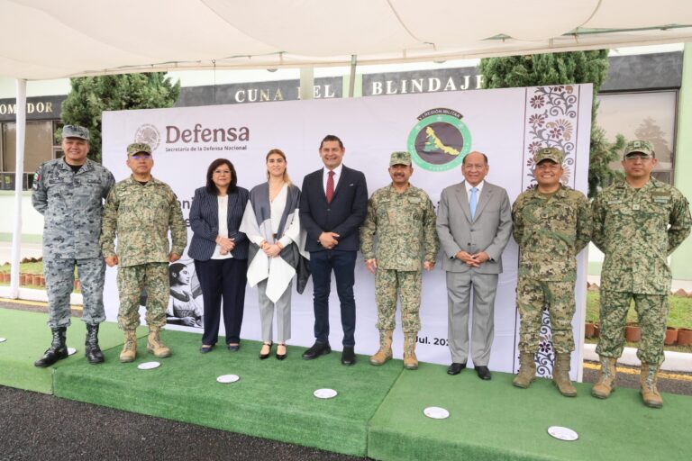 destrucción de armas de fuego