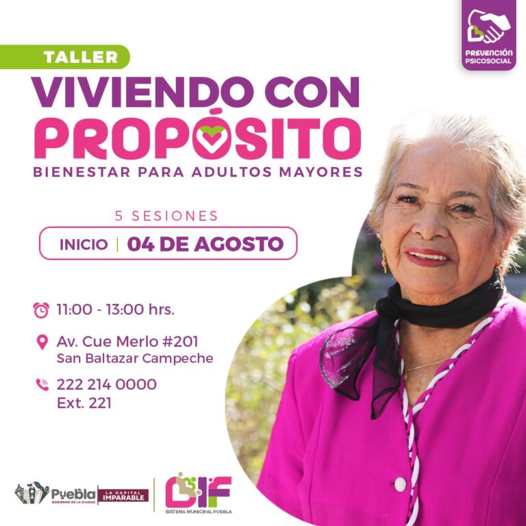 talleres DIF Puebla