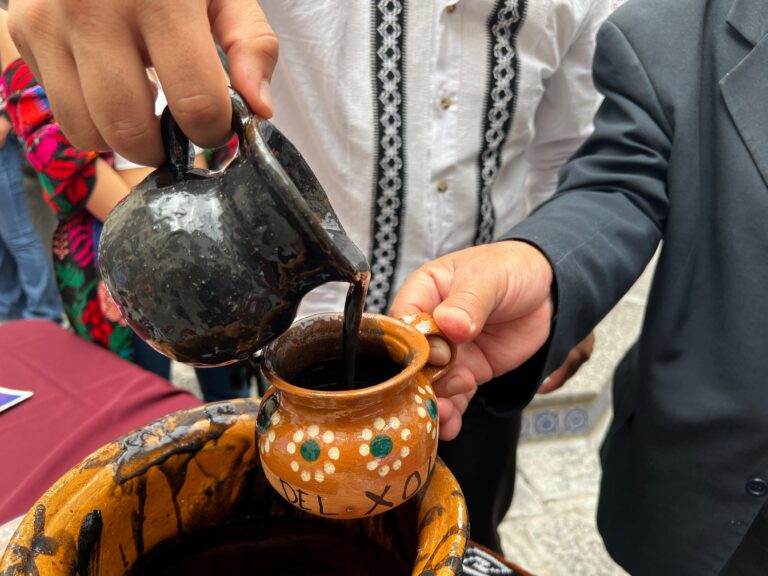 Feria del Xole