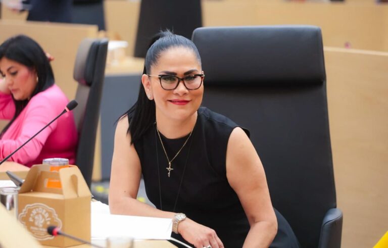 Seguridad en fraccionamientos Puebla