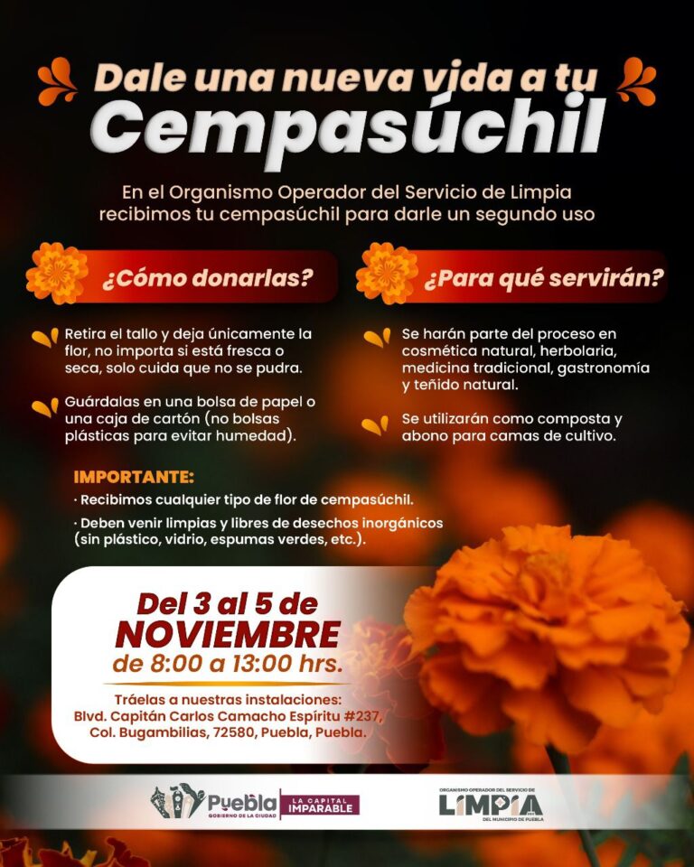 cempasúchil