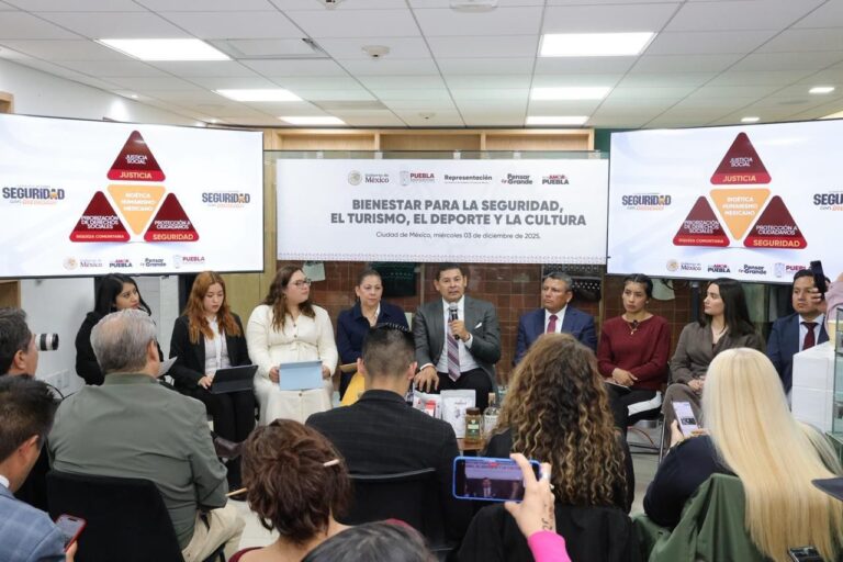 Modelo Seguridad Puebla Armenta
