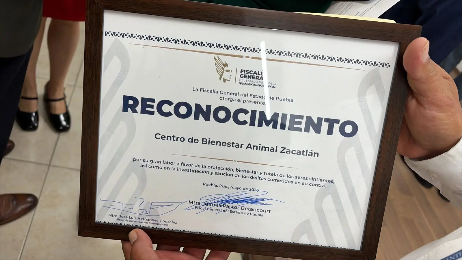 FGE reconoce a Gobierno de Zacatlán por su trabajo en la protección de seres sintientes