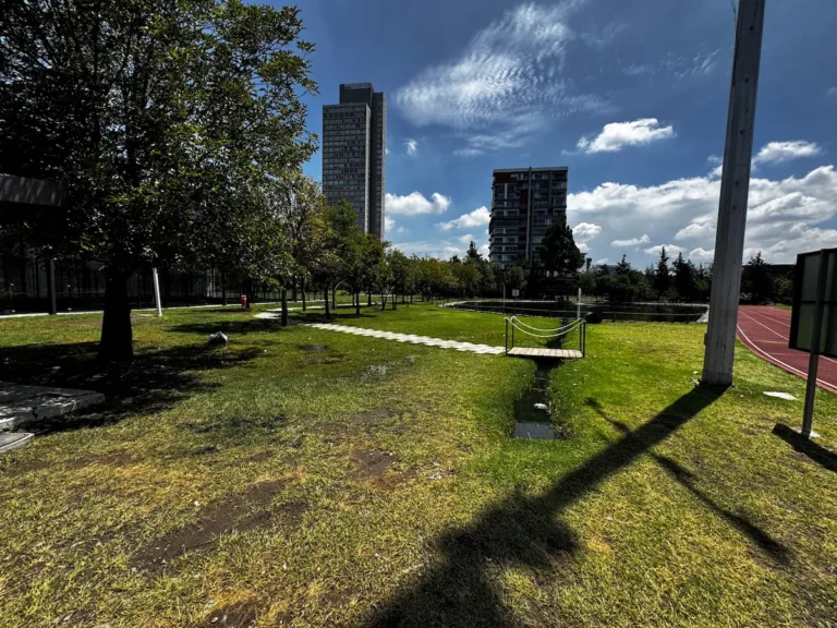 Lluvias dañan el Parque Metropolitano y el Parque del Arte en Puebla