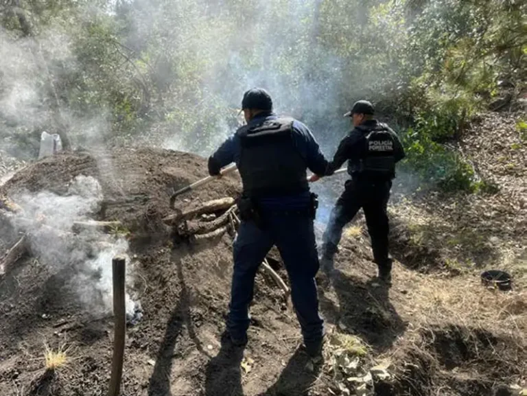 Seis hornos clandestinos quedan fuera de operación en Puebla