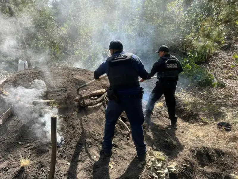 Seis hornos clandestinos quedan fuera de operación en Puebla