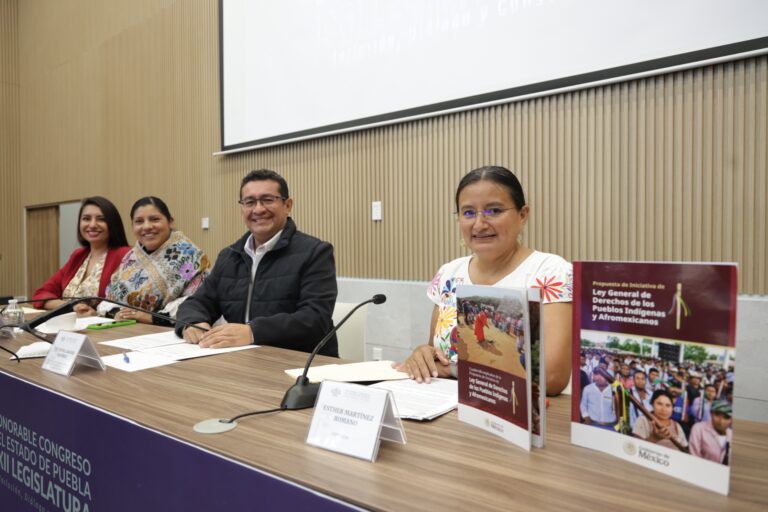 Consulta a pueblos y comunidades indígenas es fundamental para construir una Ley acorde a sus realidades: Esther Martínez