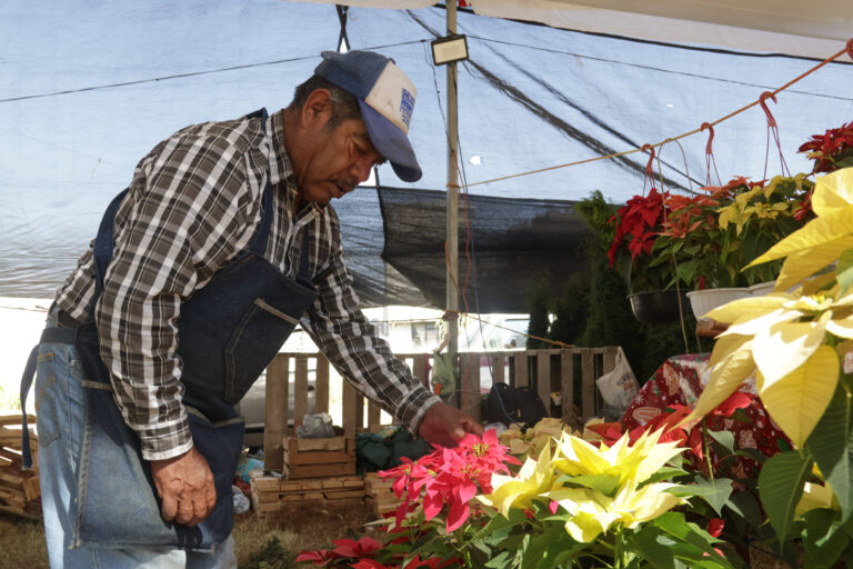 Puebla Líder en nochebuenas