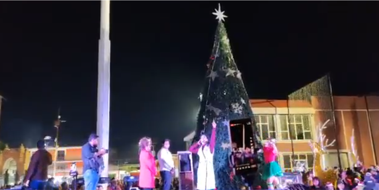 arbol1