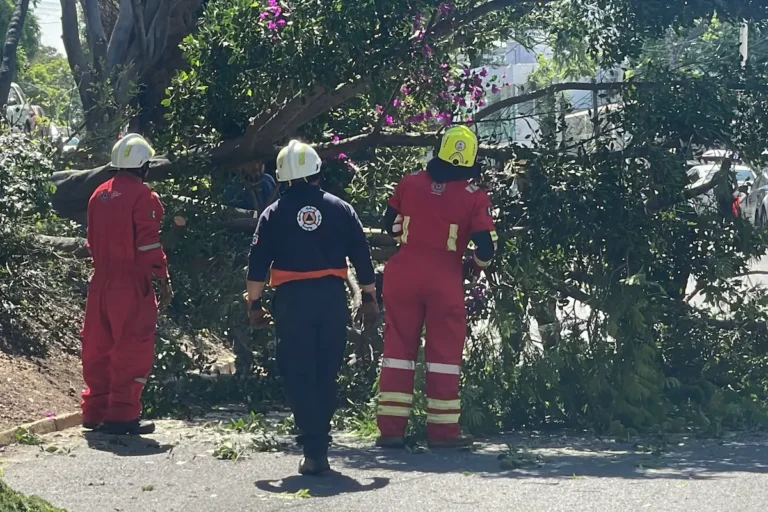 Las lluvias y las ráfagas de viento provocaron afectaciones en la colonia La Paz, lo que obligó al cierre parcial de la vialidad.