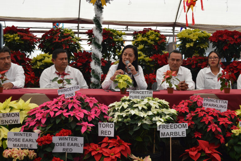 Feria de la Nochebuena Atlixco 2025