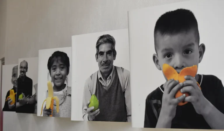 Día Mundial de la Alimentación