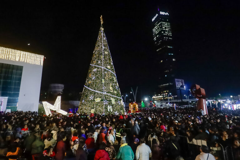 buap-arbol-de-navidad-690850