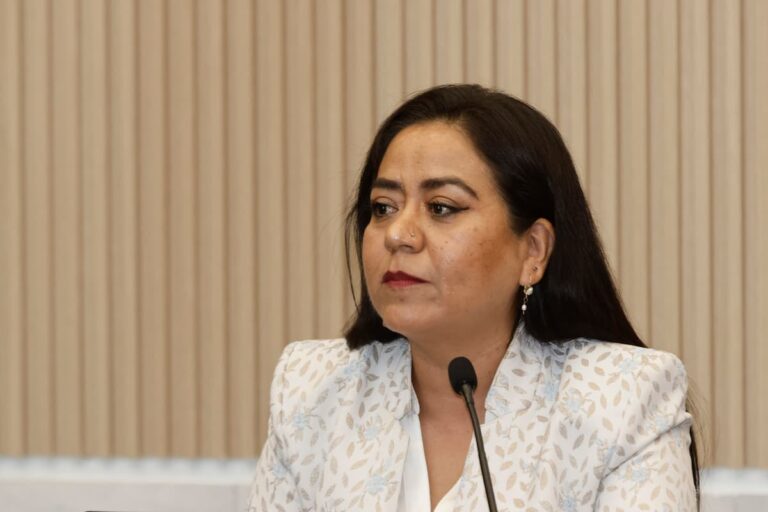 diputada Celia Bonaga