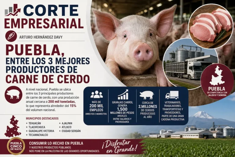 Puebla, entre los tres mejores productores de carne de cerdo