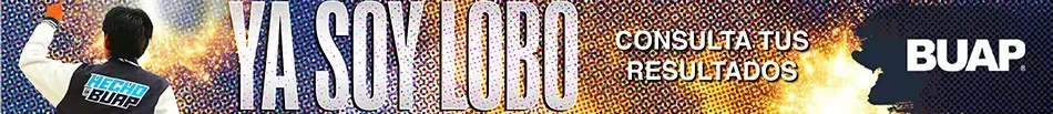 cropped-cropped-BannerBuap.webp