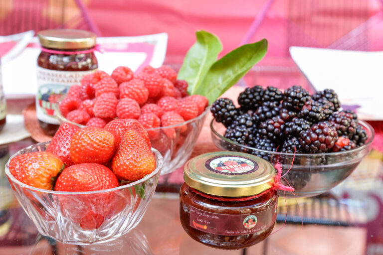 Feria de Berries Huejotzingo 2025