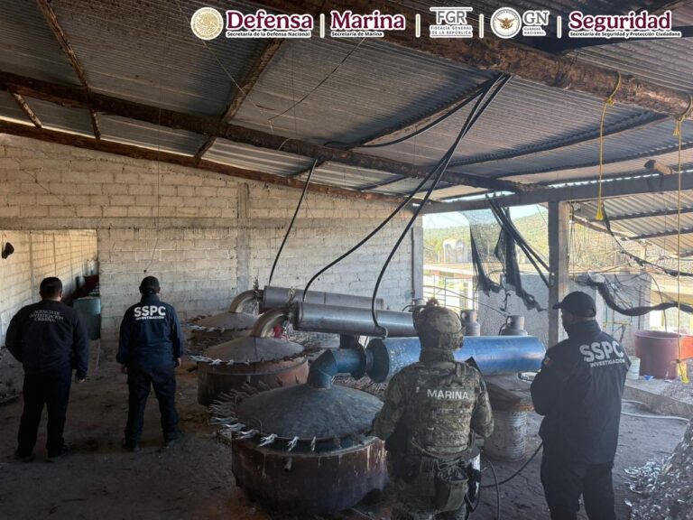 img_1136-1.jpg