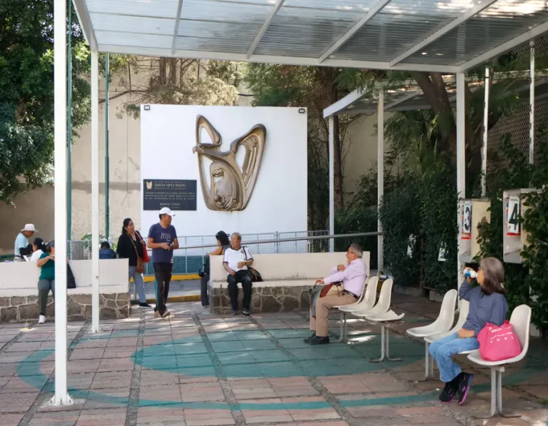 Consulta salarial del IMSS