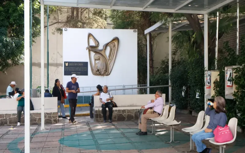 Consulta salarial del IMSS