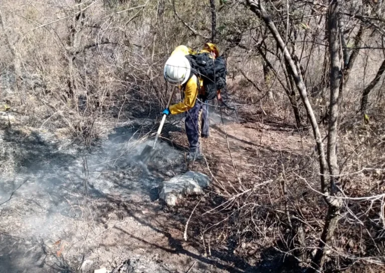 incendios-Flor-del-Bosque-puebla-sergio-salomón