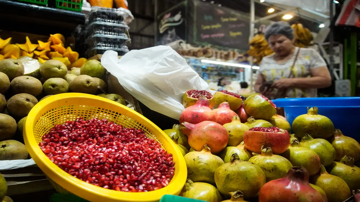 Ingredientes del Chile en Nogada