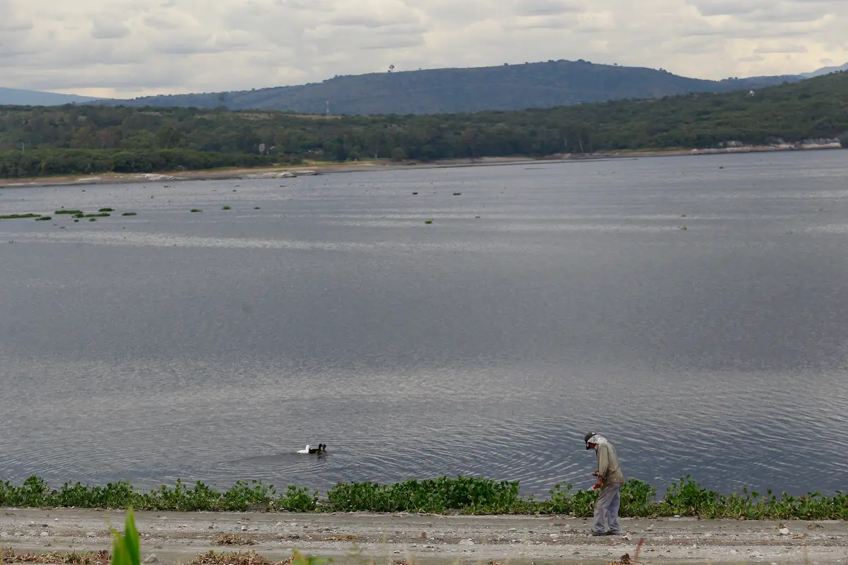 Rescate del lago de Valsequillo suma a la UDLAP y expertos internacionales