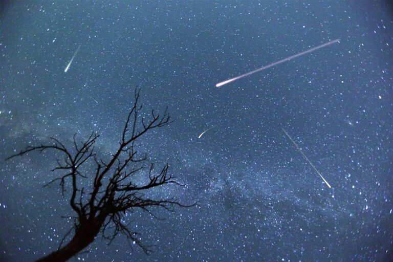 Lluvia de Estrellas Leónidas 2025 México