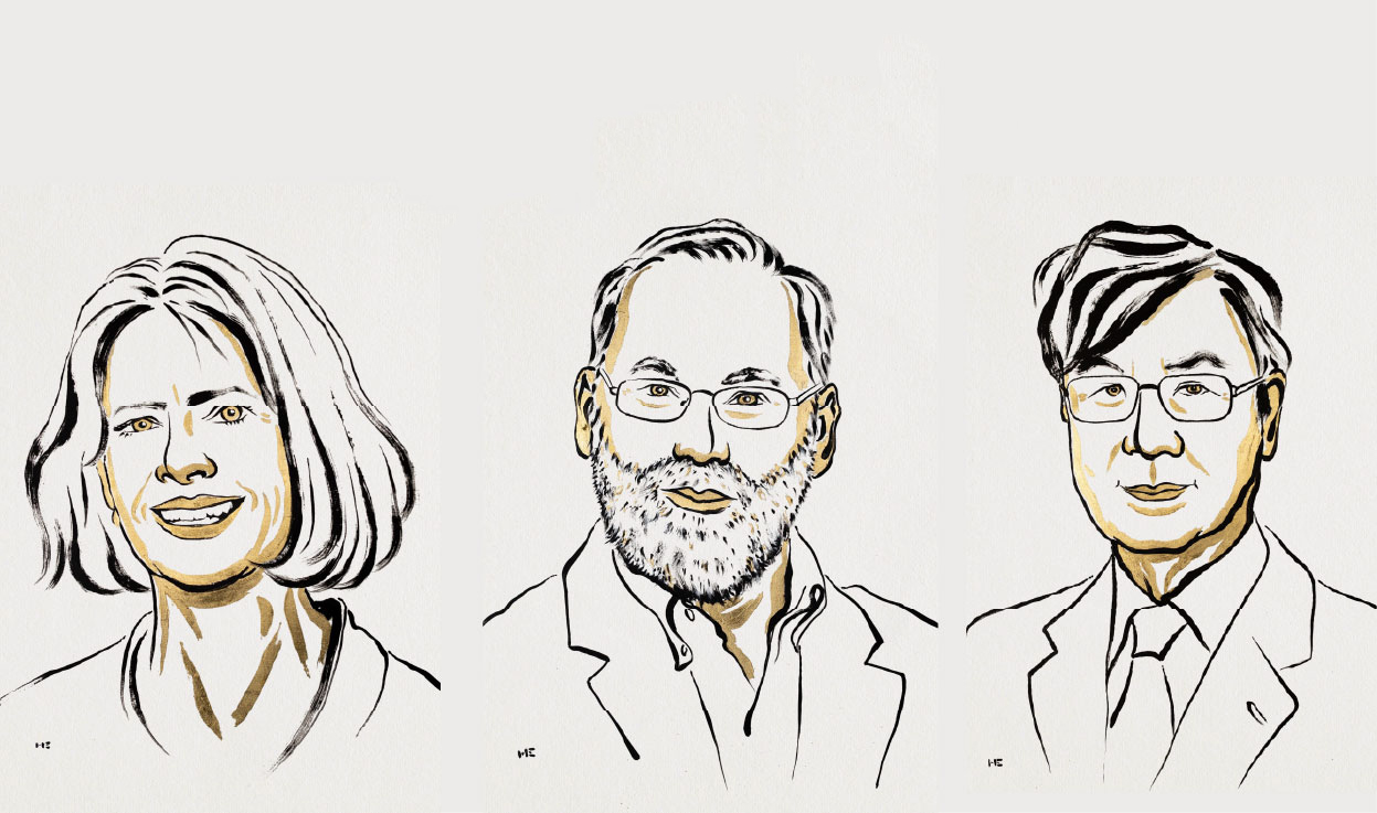 Premios Nobel 2025