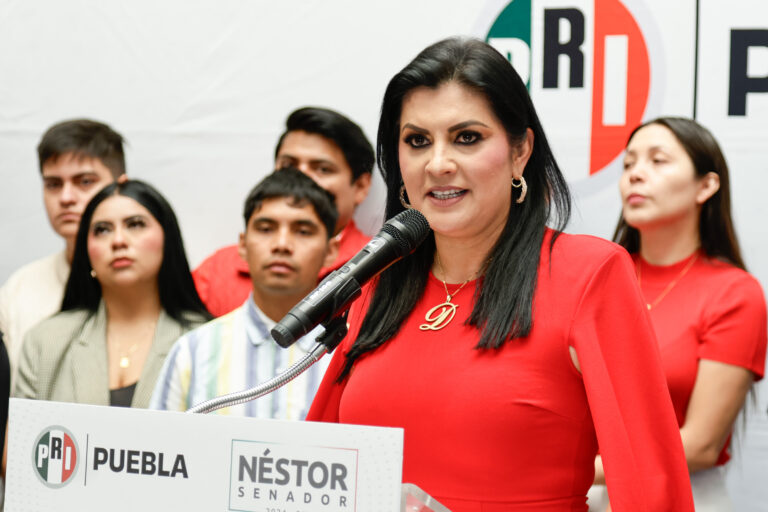 designación de diputada suplente en Puebla