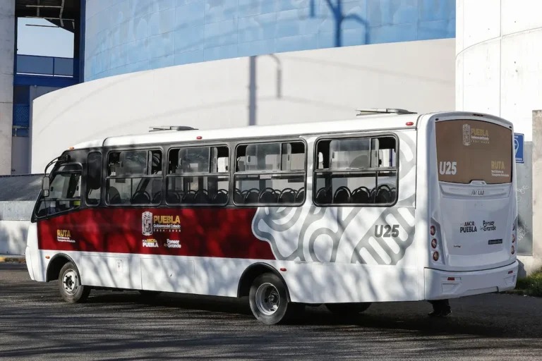 ¿Hasta dónde llegó la inseguridad? Chofer de RUTA alerta a pasajeros