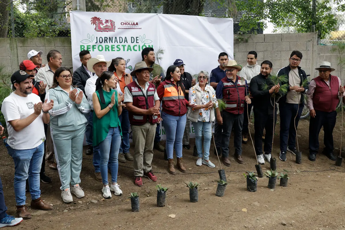San Pedro Cholula siembra 500 árboles en el Cerro Zapotecas